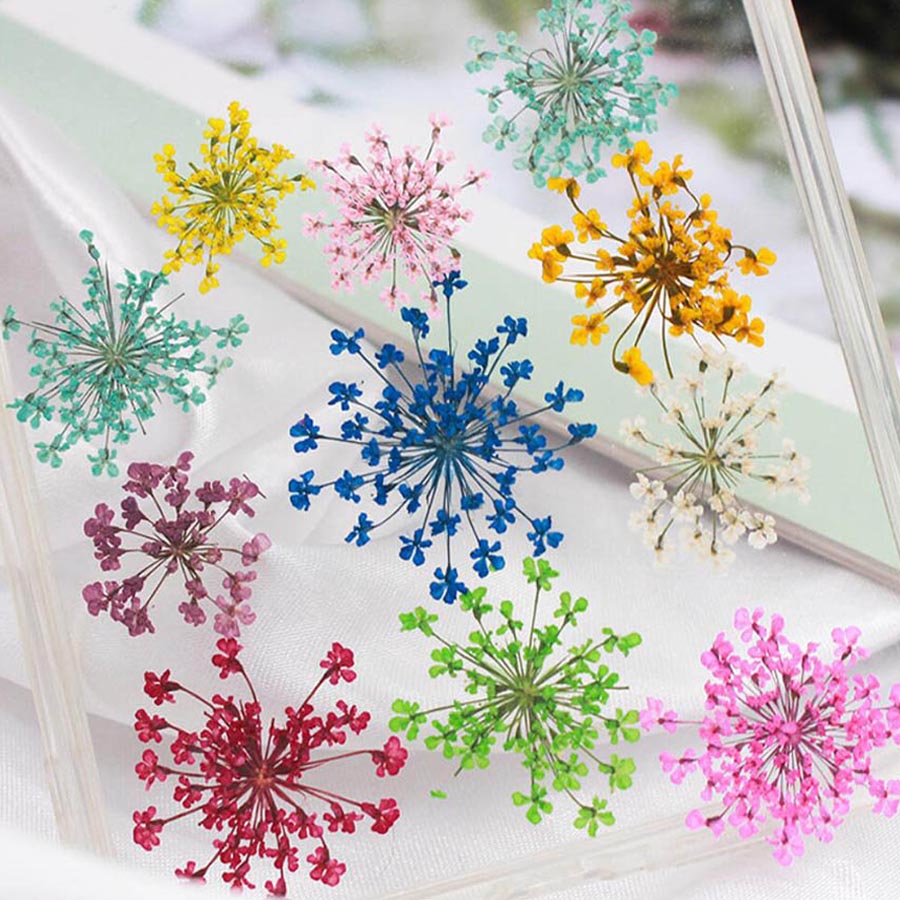 60 قطعة من زهور الأمي ماجوس ال - مراجعة Dried Flower Bookmark وسعره